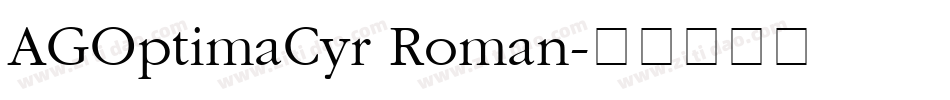 AGOptimaCyr Roman字体转换